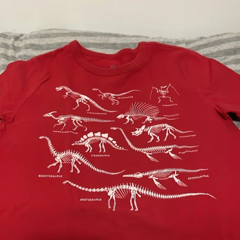 Bundle of 5 GAP Boys T-Shirts Size M-L